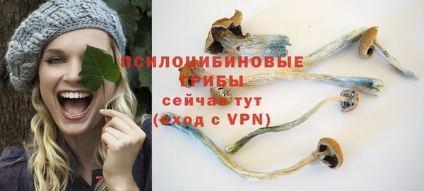 PSILOCYBIN Балабаново