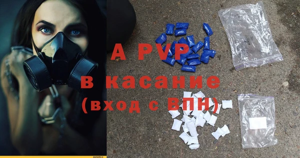 мяу мяу мука Баксан