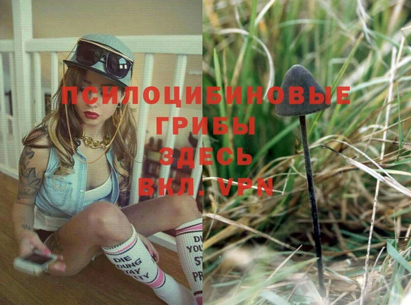 PSILOCYBIN Балабаново